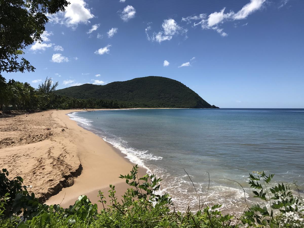 Apartmán Appart Coeur De Rhum Pointe-à-Pitre Exteriér fotografie